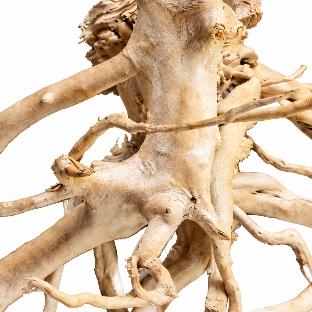 Natural Branch Driftwood – 40–60 cm