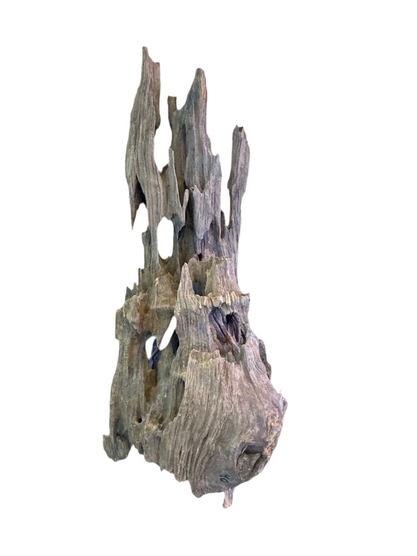 Honey Comb Drift Wood
