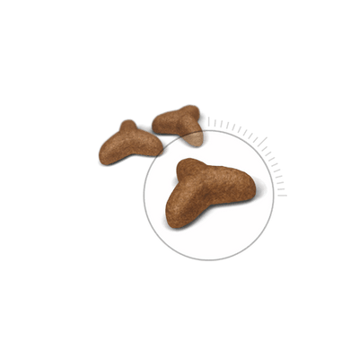 رويال كانين طعام خفيف الوزن 1.5 كجم