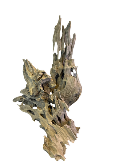 Honey Comb Drift Wood