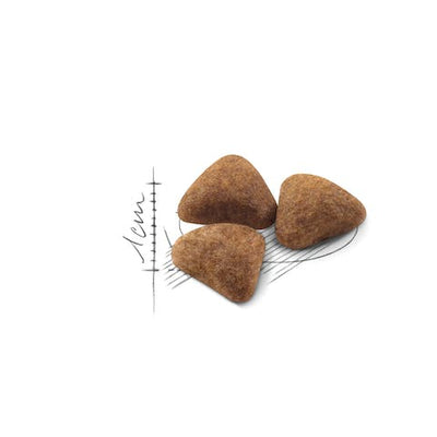 رويال كانين هوم لايف إندور 27 2 كجم