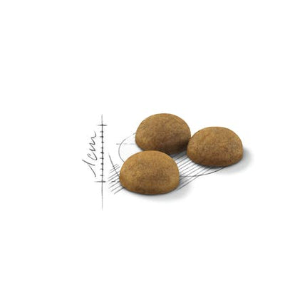 رويال كانين هوم لايف شعر داخلي طويل 2 كجم