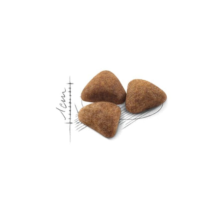 رويال كانين طعام داخلي 4 كجم