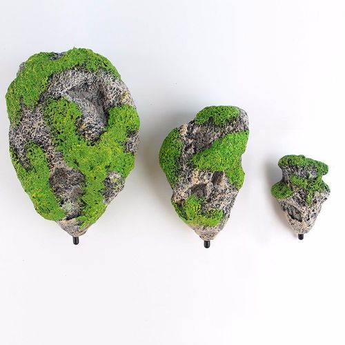 صخرة دوفين العائمة