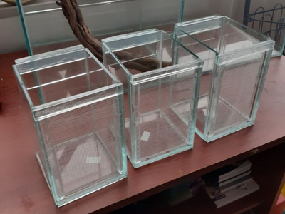 Aquarium Installation & Setup