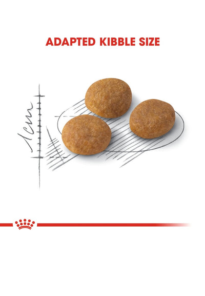 رويال كانين اروما اكسيجنت 2 كجم