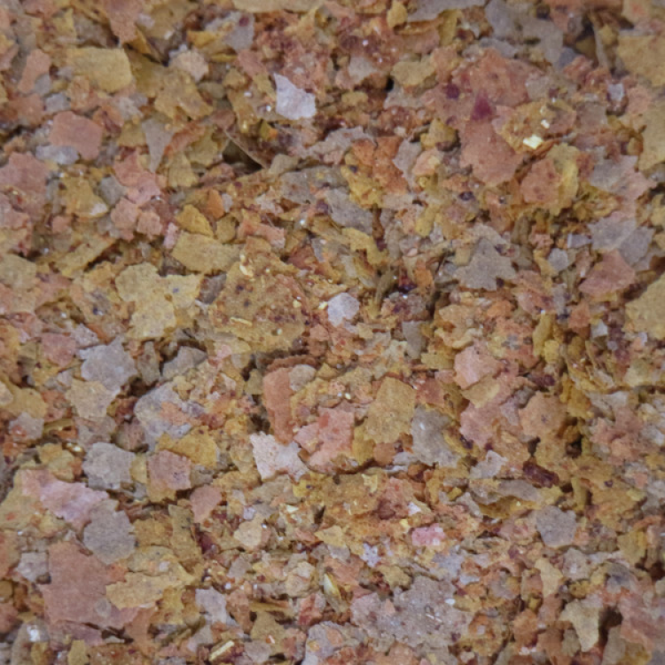 API Flakes Tropical Fish Food 10g