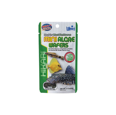HIKARI MINI ALGAE WAFERS 22G