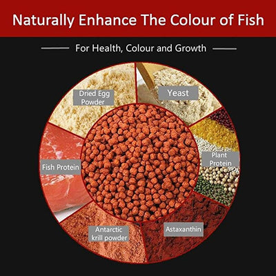 هورايزون أسماك استوائية مملحة 400 جرام