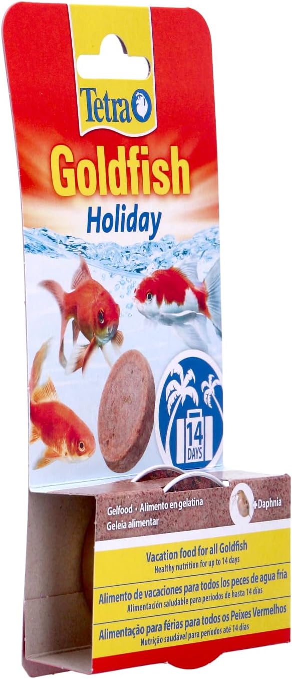 Tetra Goldfish Holiday