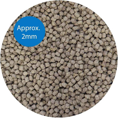 API الكريات الاستوائية 119 جرام