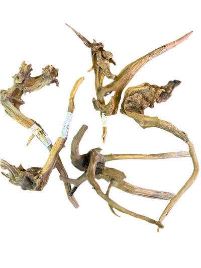 Drift Wood Dark color 20-40cm