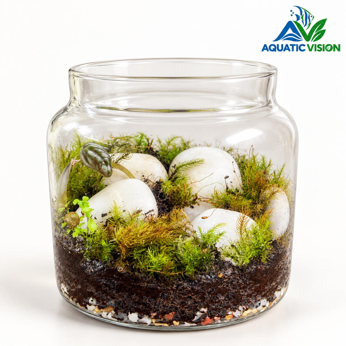 White Stone Oasis ā Natural Moss Jar Terrarium with Wooden Lid