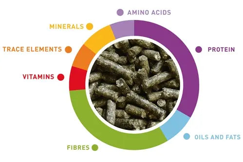 Padovan Wellness Young Dwarf Rabbits 1-Kg