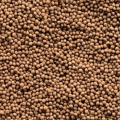 سيرا كوي رويال طعام أسماك صغيرة 1000 مل