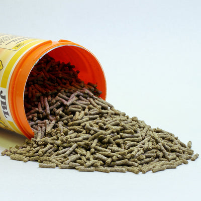 جي بي ال اجيفيرت طعام السلاحف 250 مل