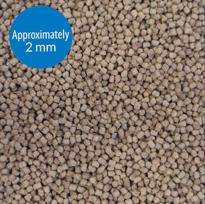 حبيبات API CICHLID 70 جرام 2.5 أونصة