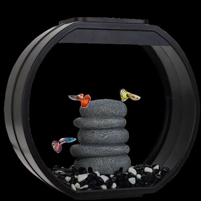 حوض السمك ايه ديكو