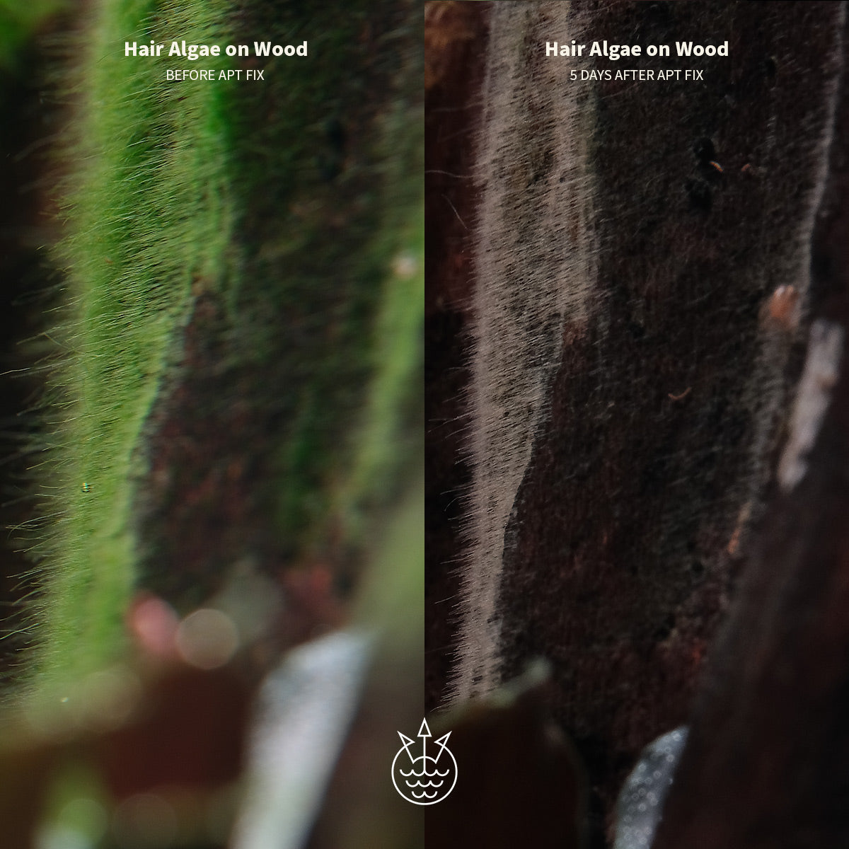 إصلاح الشقة