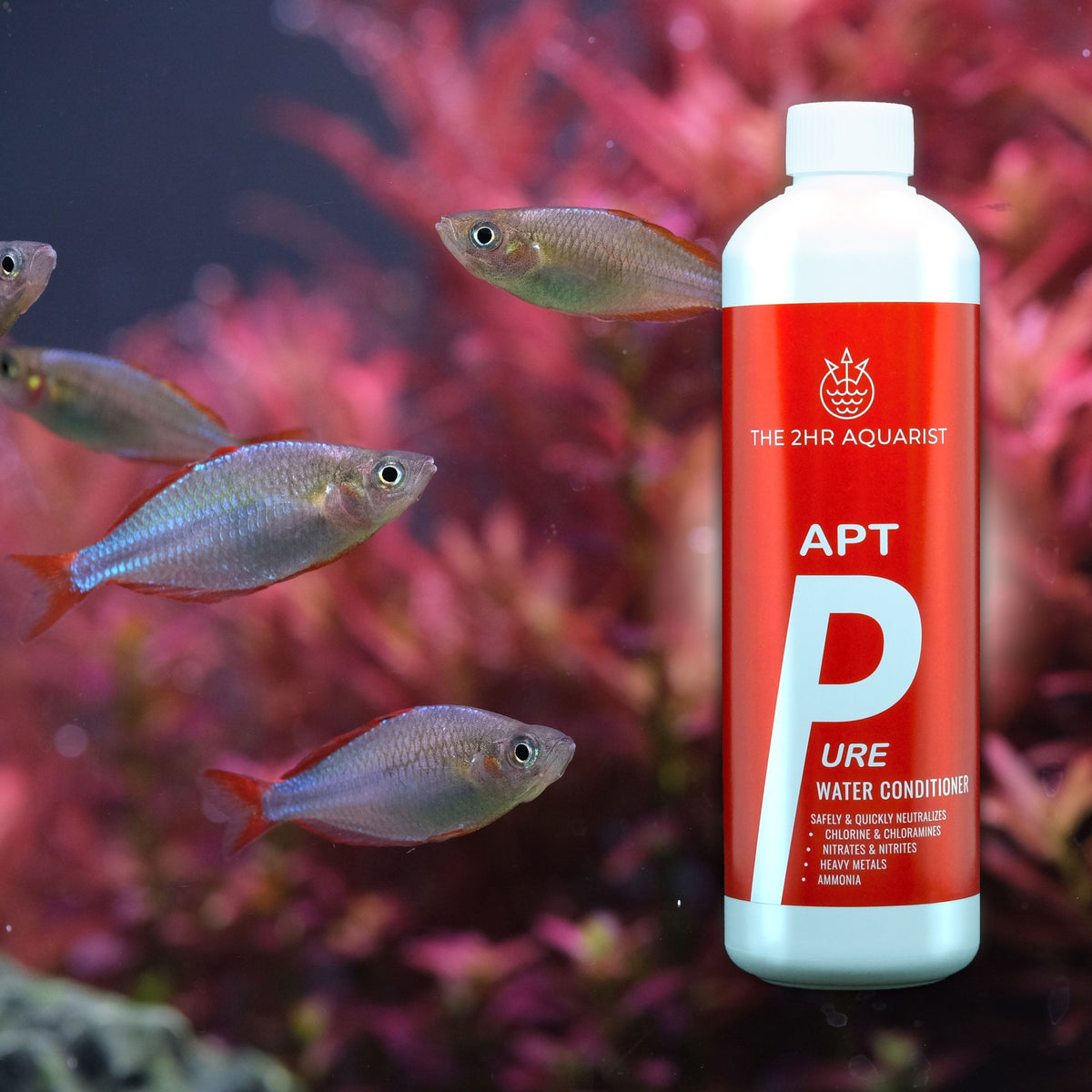 APT PURE 200ML