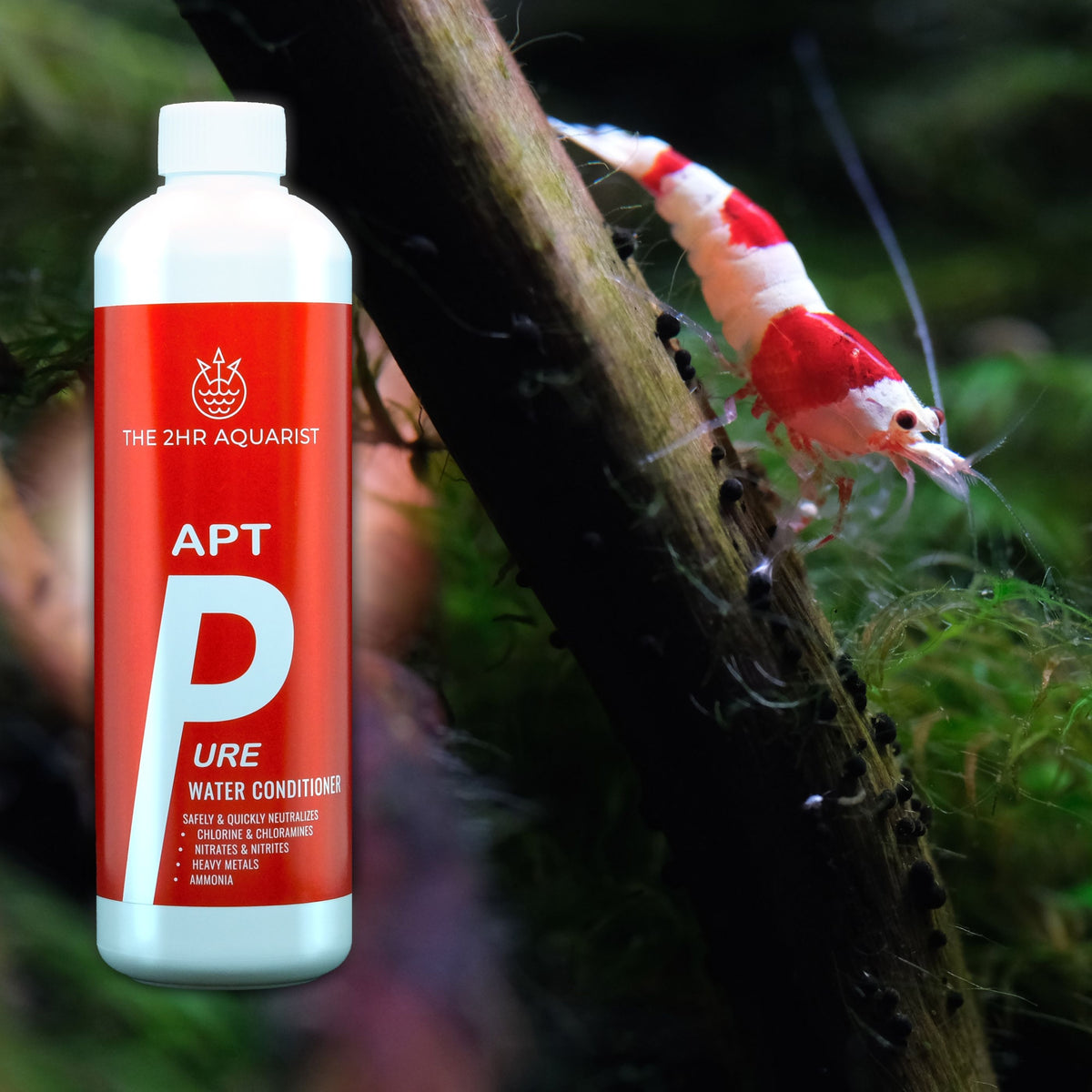 APT PURE 200ML