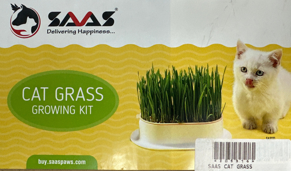 SAAS Cat Grass Growing Kit – Natural Fresh Grass for Cats