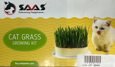 SAAS Cat Grass Growing Kit – Natural Fresh Grass for Cats