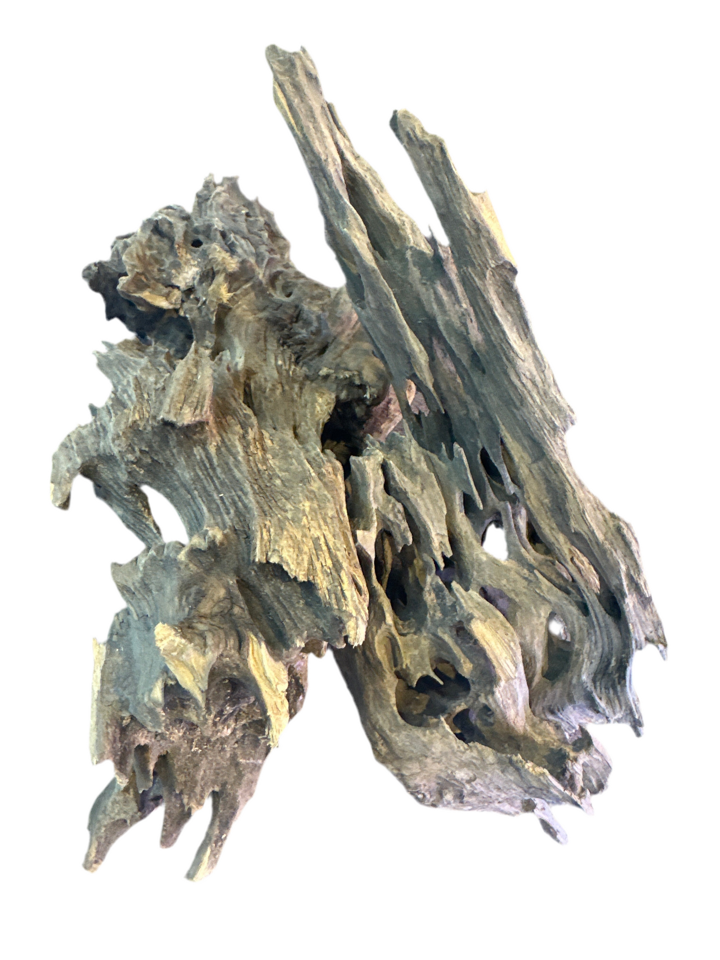 Honey Comb Drift Wood