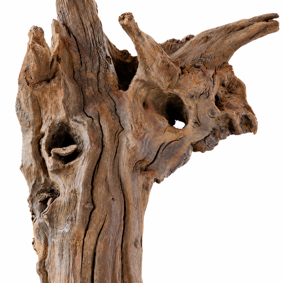 Natural Sculpted Driftwood – 20–40 cm
