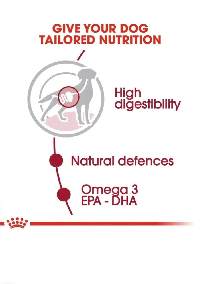 رويال كانين مرق متوسط الحجم 140 جرام