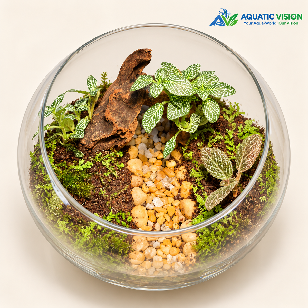 MINIATURE NATURE TERRARIUM β 10 - A LITTLE WORLD OF GREEN