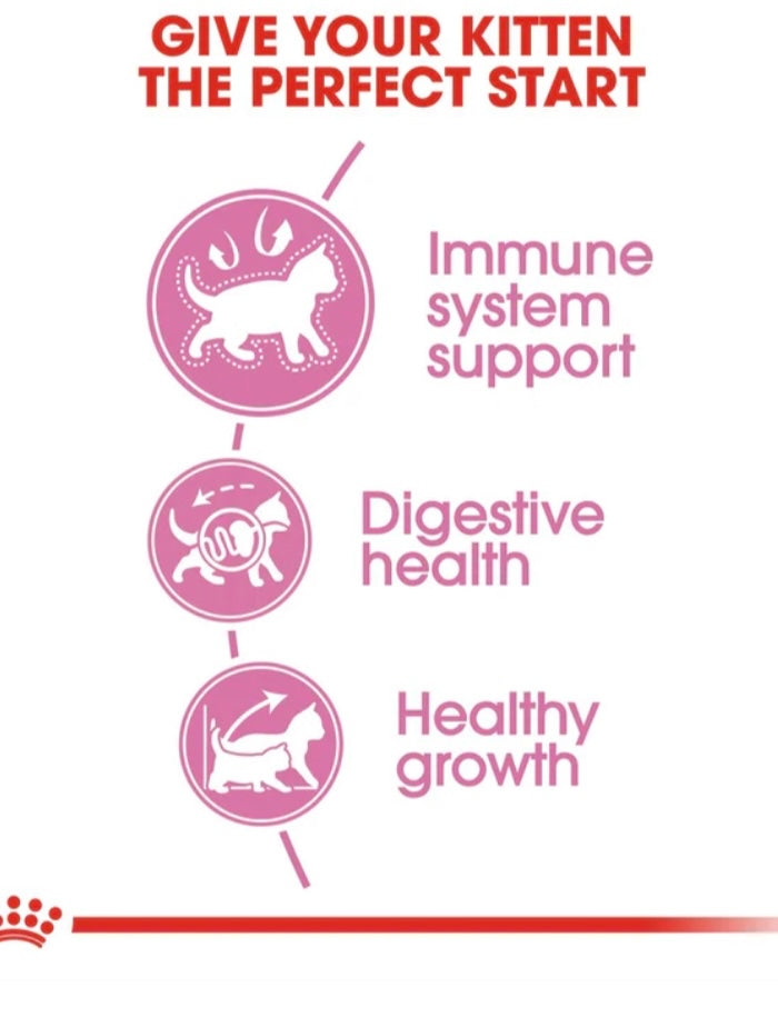 ROYAL CANIN NUTRITION KITTEN