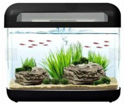 HAQOOS WATERFALL AQUARIUM 15ltr