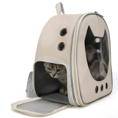 حقيبة حمل القطط