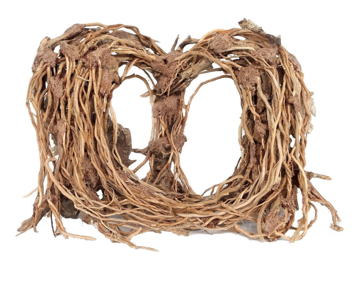 الأخشاب الطافية