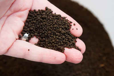 AMAZONIA SOIL 1L (LOOSE)