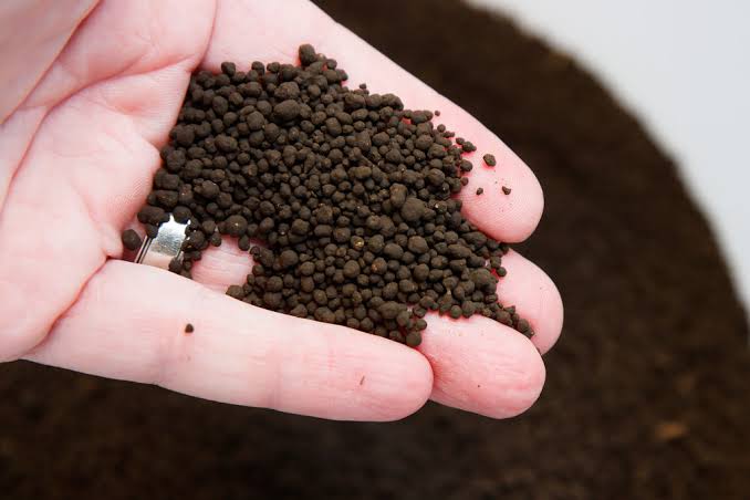 AMAZONIA SOIL 1L (LOOSE)