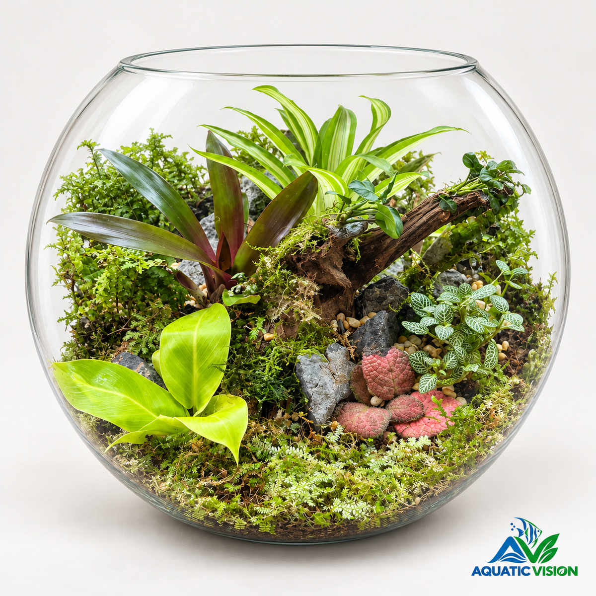 Enchanted Forest Glass 16-inch Glass Bowl Terrarium(Ready Made)