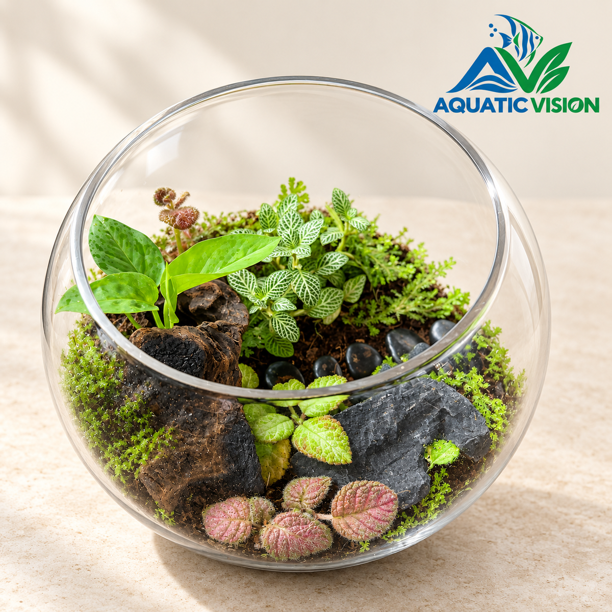 Emerald Trail – 10-Inch Tropical Glass Terrarium(Ready Made)