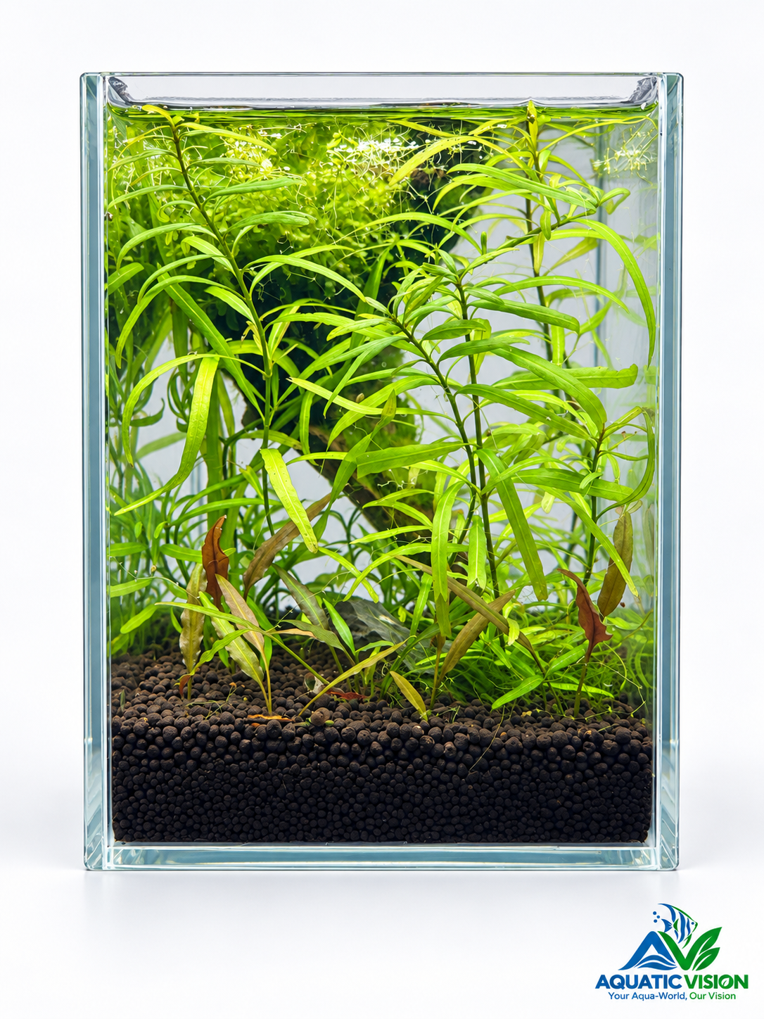Emerald Canopy – Mini Planted Aquascape (15 × 15 × 20 cm)