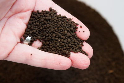 ADA Amazonia soil loose – 1 Liter