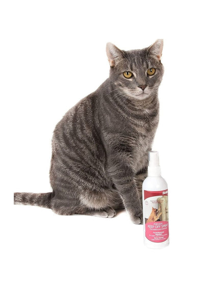 بيولين بخاخ للحماية 175 مل