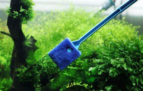 خدمة الصيانة