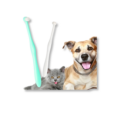 DentiSoft Tooth Brush For Dog & Cat