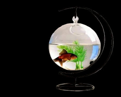 Glass Hanging Bowl
