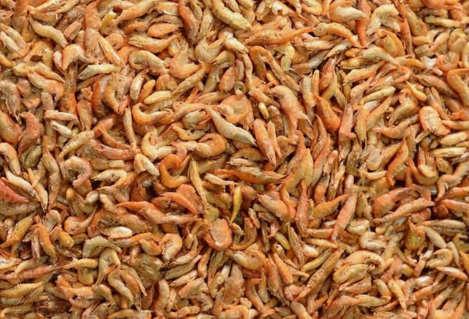 AQUAV Freeze Dried Shrimp