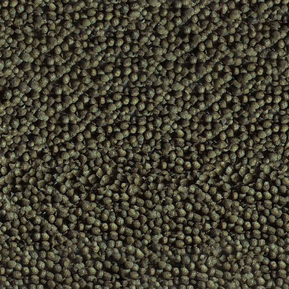 Sera Gold Fish Color Granules 250ML