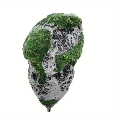 صخرة دوفين العائمة