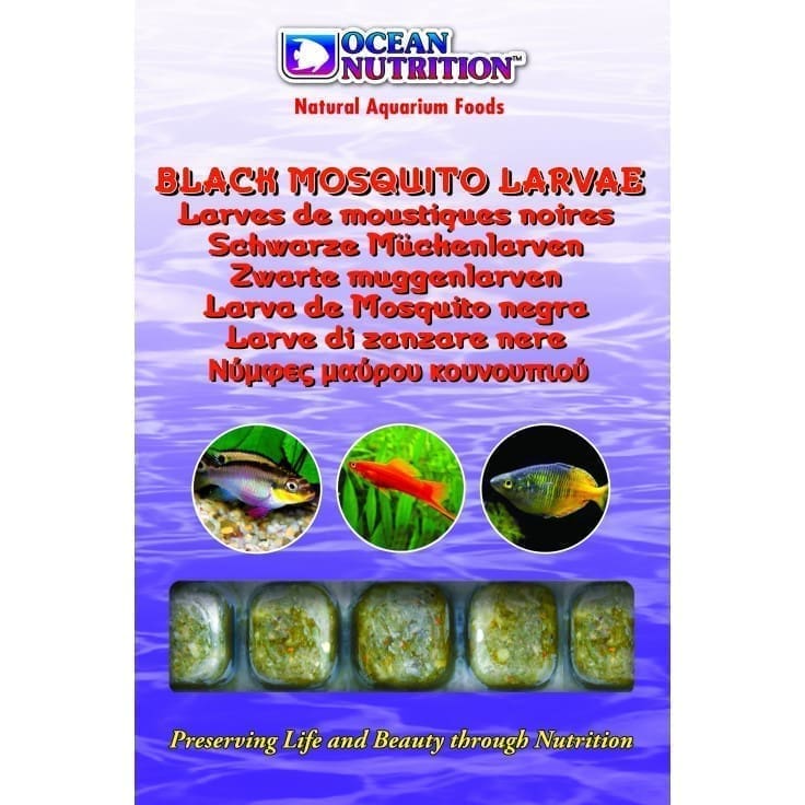 BLACK MOSQUITO LARVAE