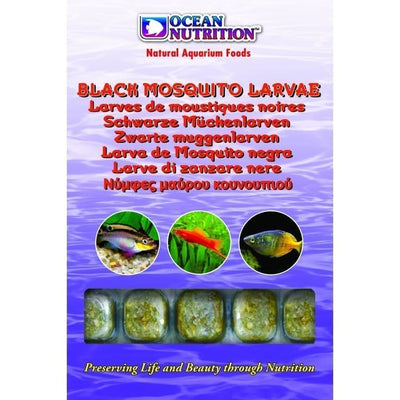 BLACK MOSQUITO LARVAE